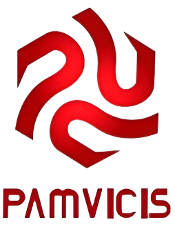 PAMVICIS INGENIERIA Y SERVICIOS